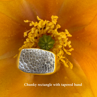 Imprint Kit Custom Shape Signet Ring