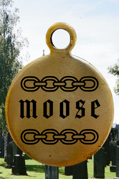 100% brass dog tags