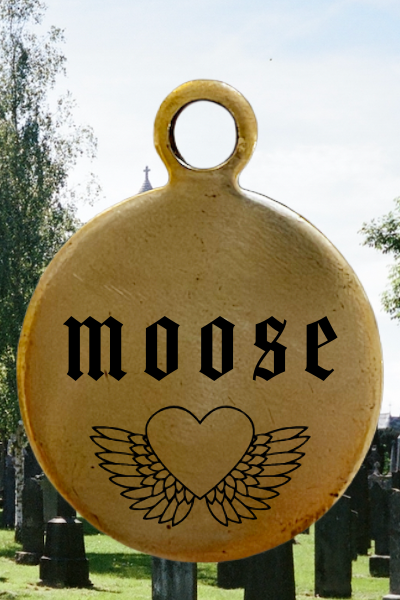 100% brass dog tags